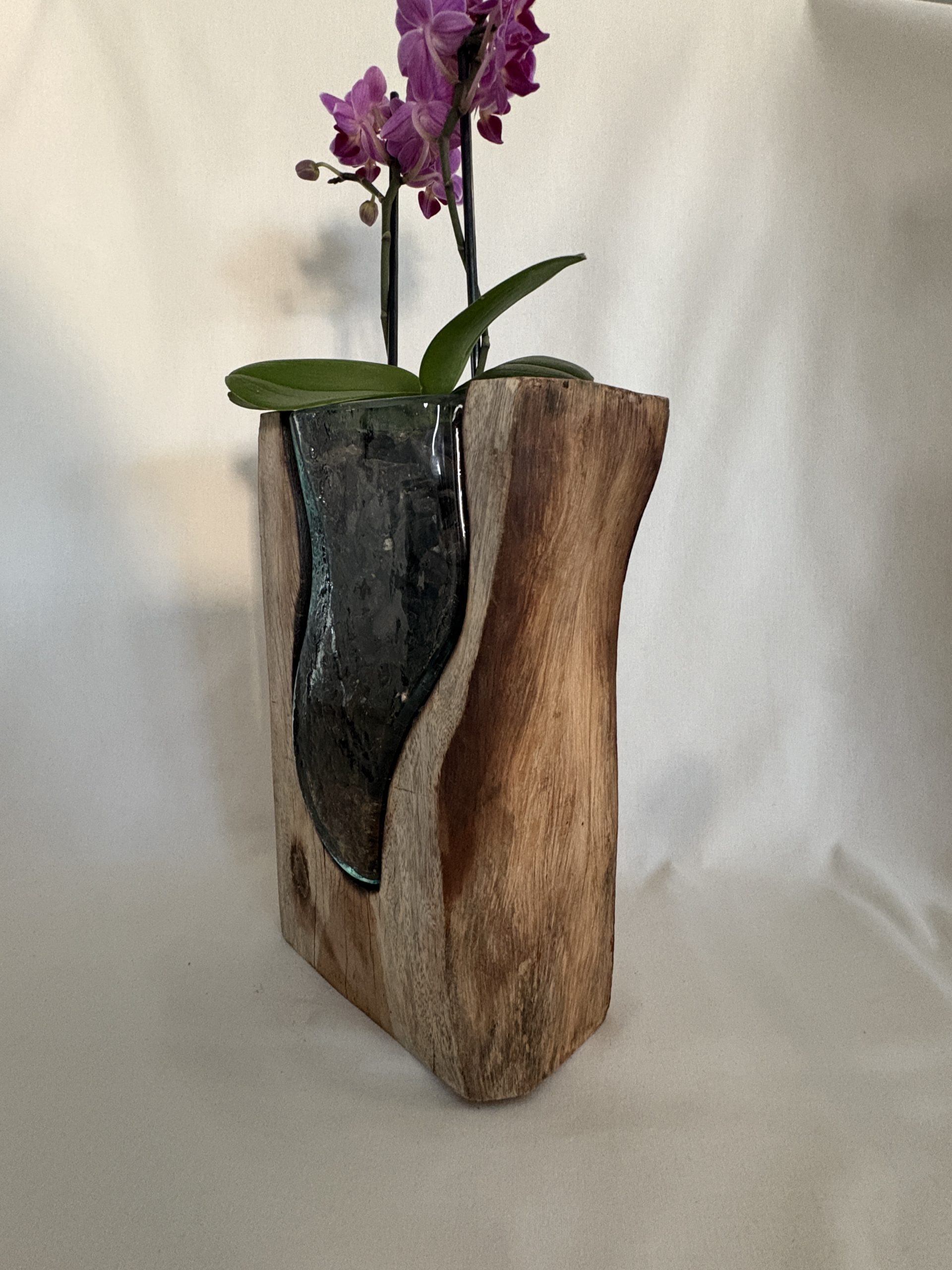 Hand-Carved Driftwood Orchid Display with Glass Inlay