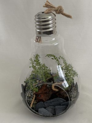 Oversized Hanging Light Bulb