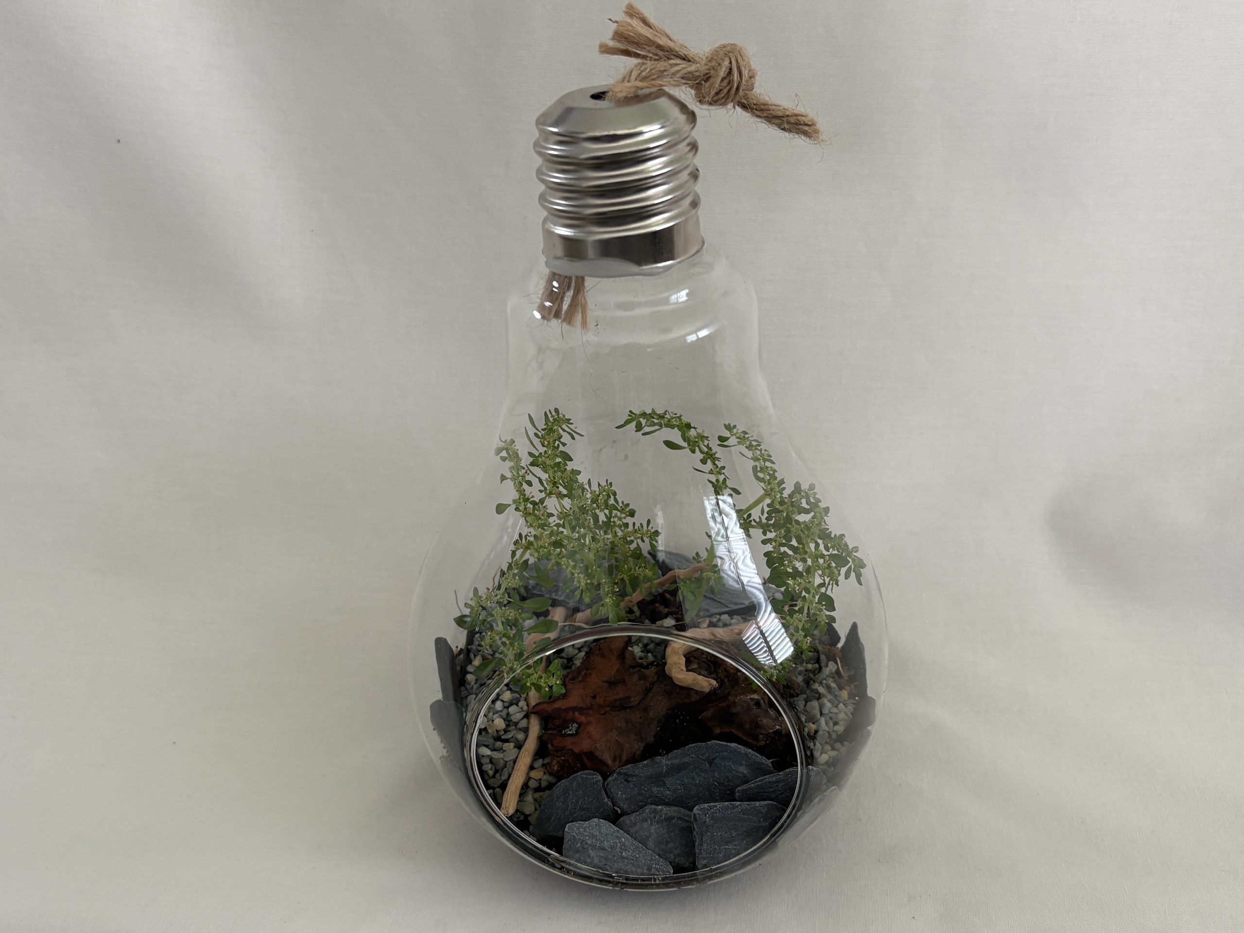 Oversized Hanging Light Bulb