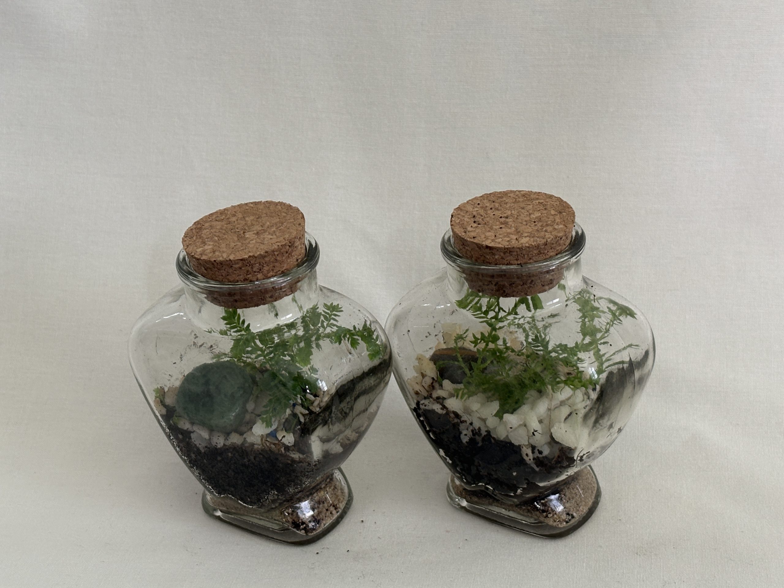 Heart Shaped Bottles