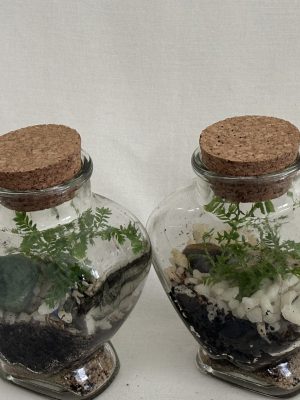 Heart Shaped Bottles