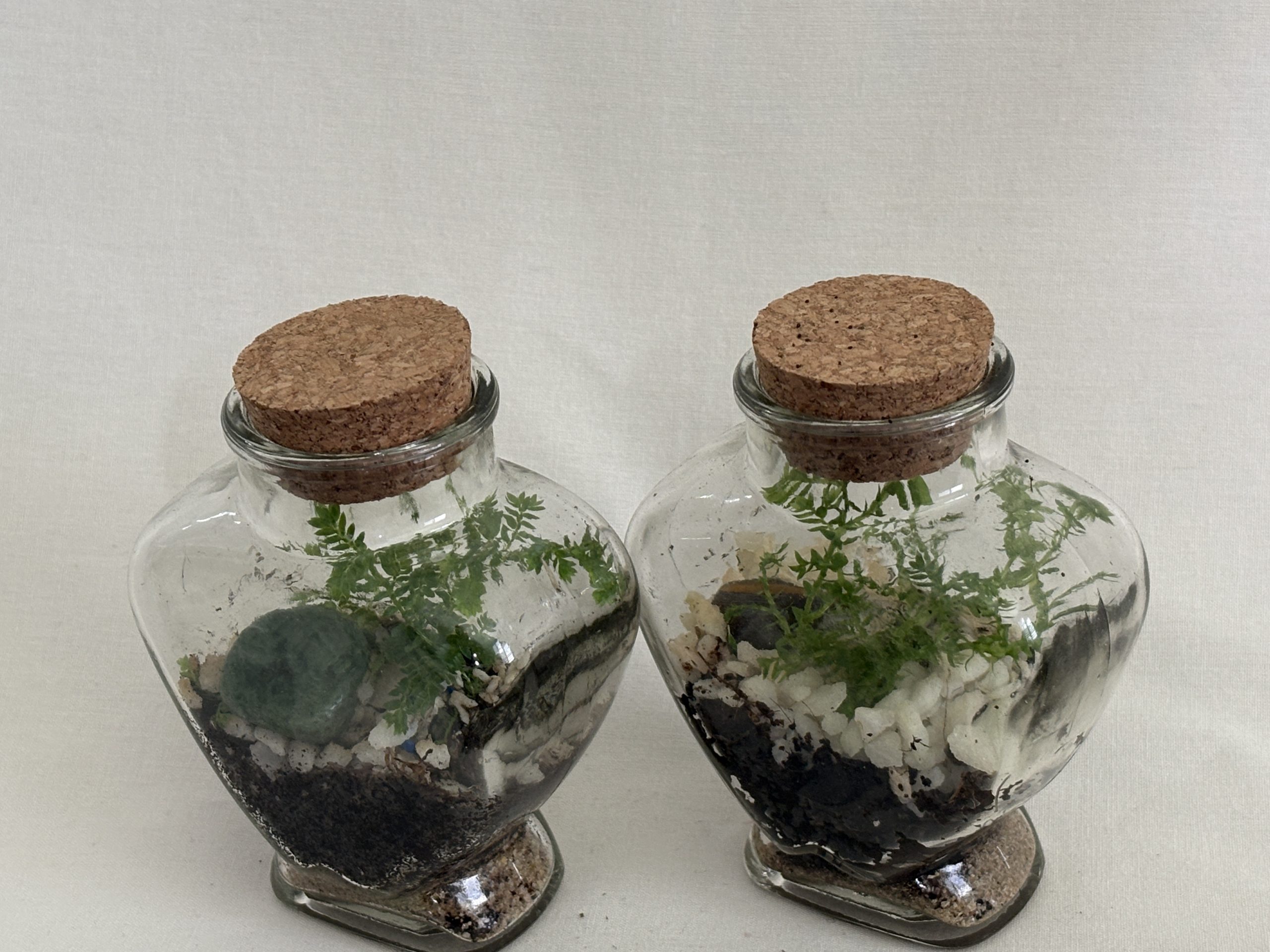 Heart Shaped Bottles