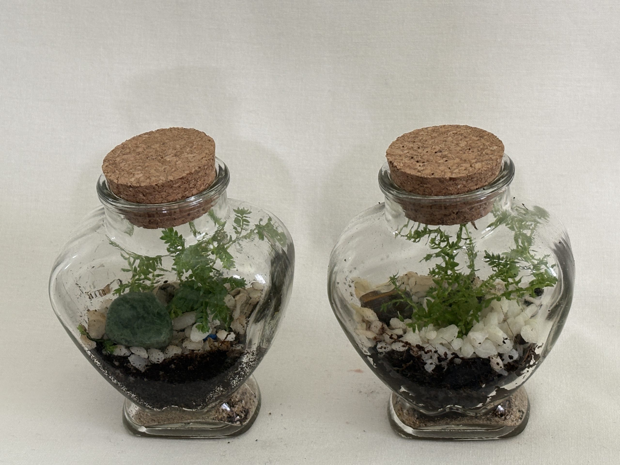 Heart Shaped Bottles