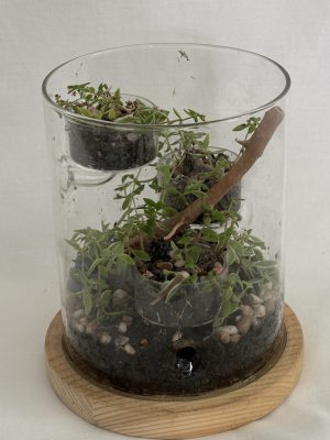 The "Floating Islands"